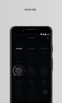 Bose L1 Mix